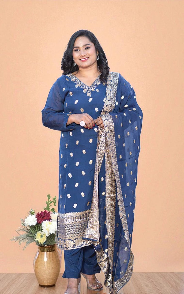 Blue Netra Organza Banarasi Suit set
