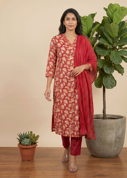 Red Aachal Cotton Suit set